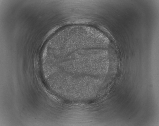 X0000080160483200701051609