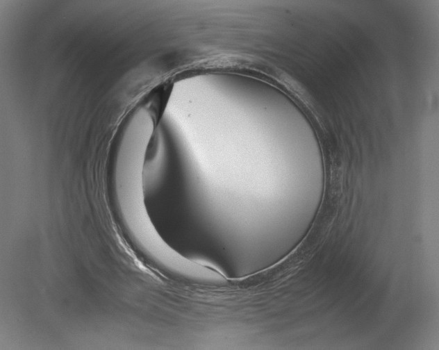 X0000080160485200701051609