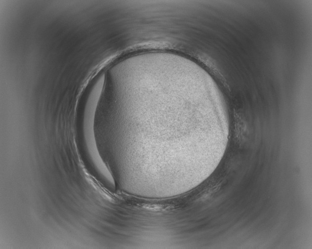 X0000080160486200701051609