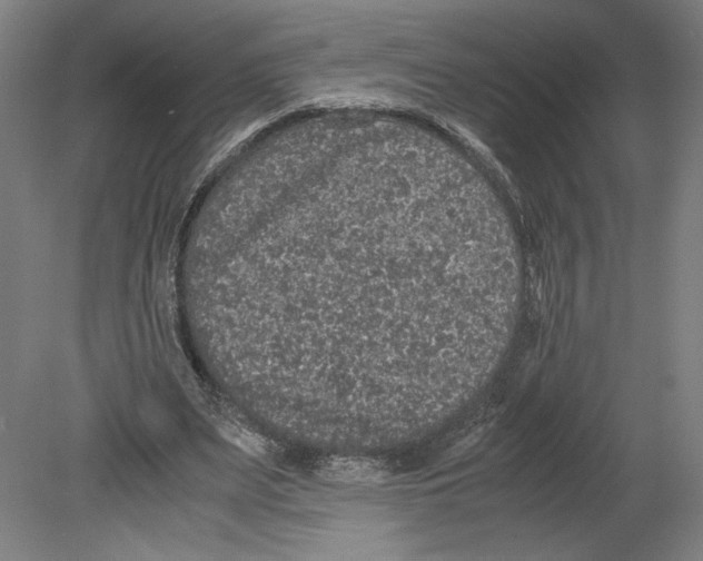 X0000080160487200701051609