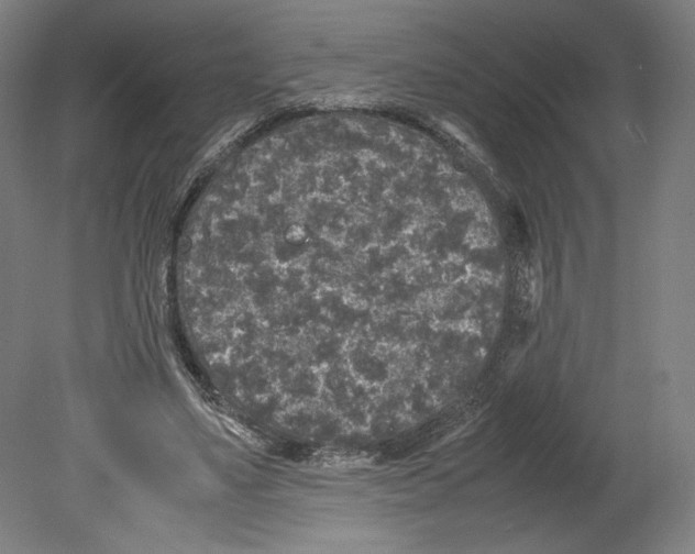 X0000080160491200701051609