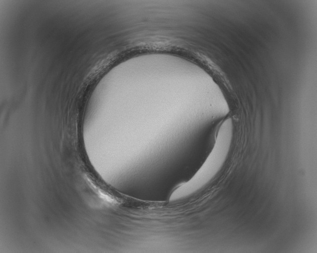 X0000080160493200701051609