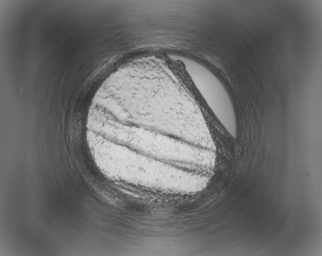 X0000080160495200701051609