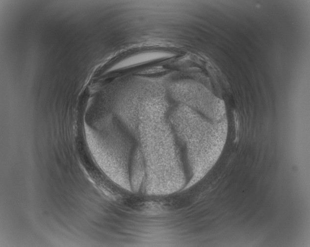 X0000080160496200701051609