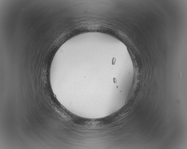 X0000080160497200701051609