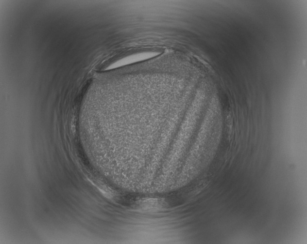 X0000080160499200701051609