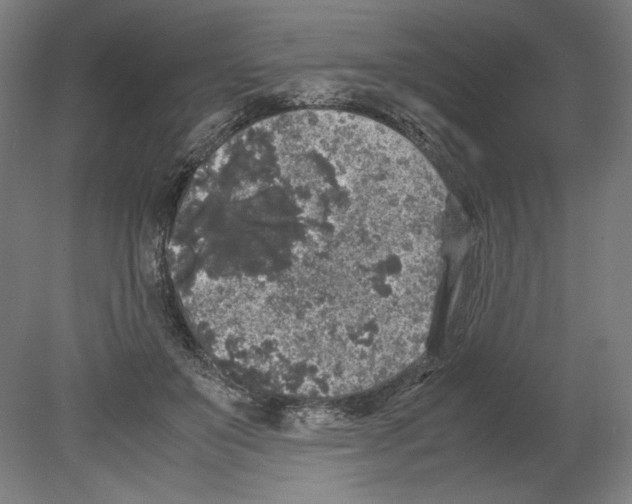 X0000080160503200701051609