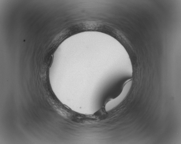 X0000080160505200701051609