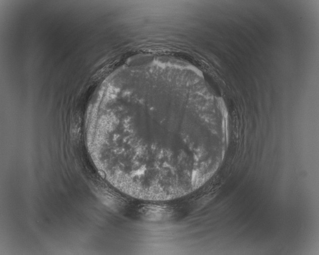 X0000080160507200701051609