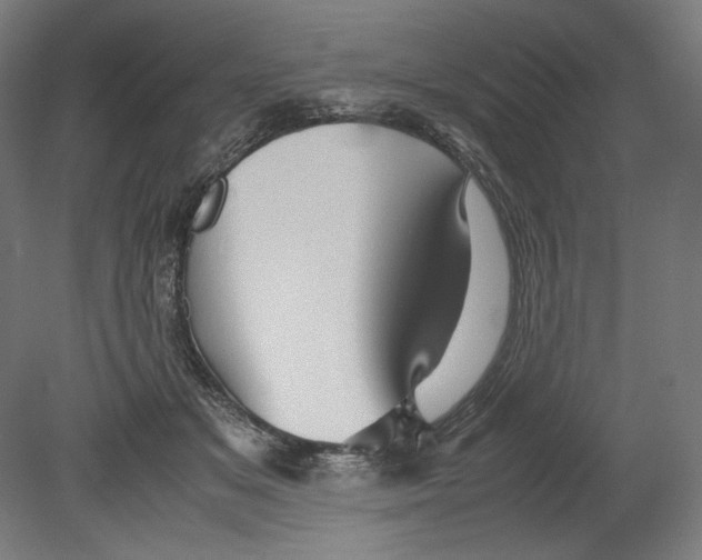 X0000080160509200701051609