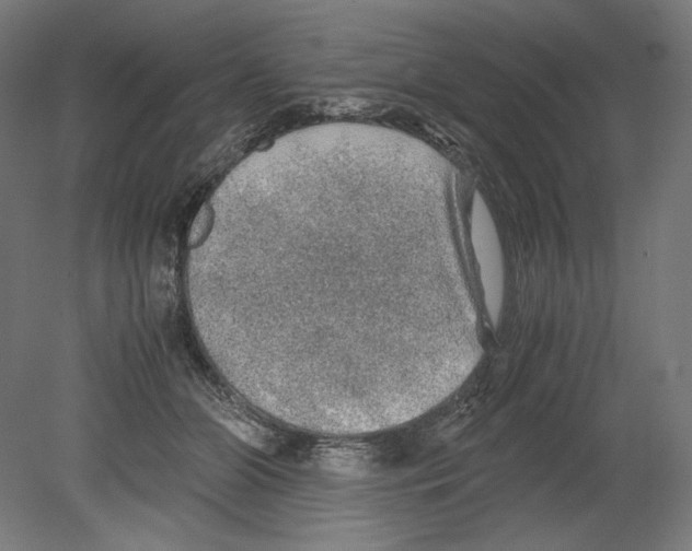 X0000080160510200701051609