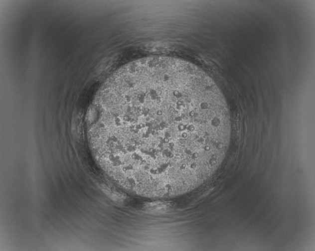 X0000080160511200701051609