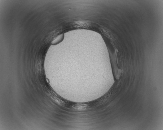 X0000080160514200701051609