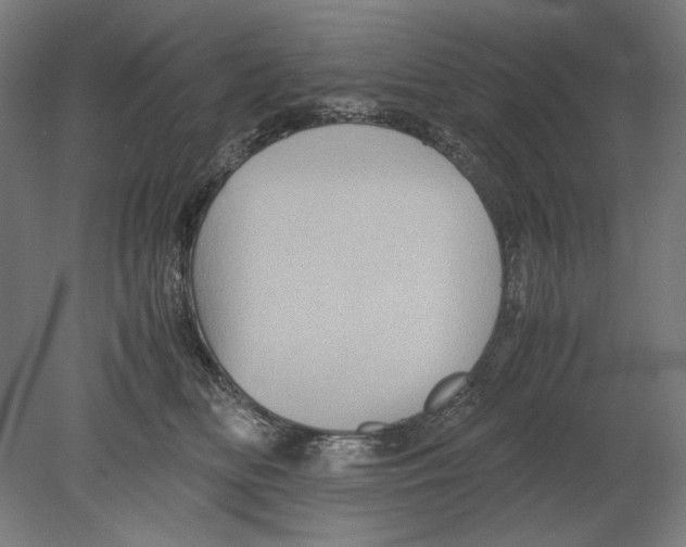 X0000080160518200701051608