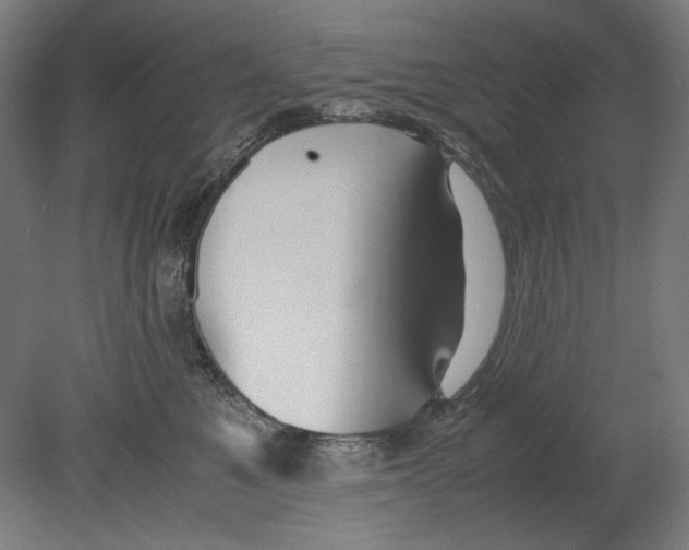 X0000080160521200701051608