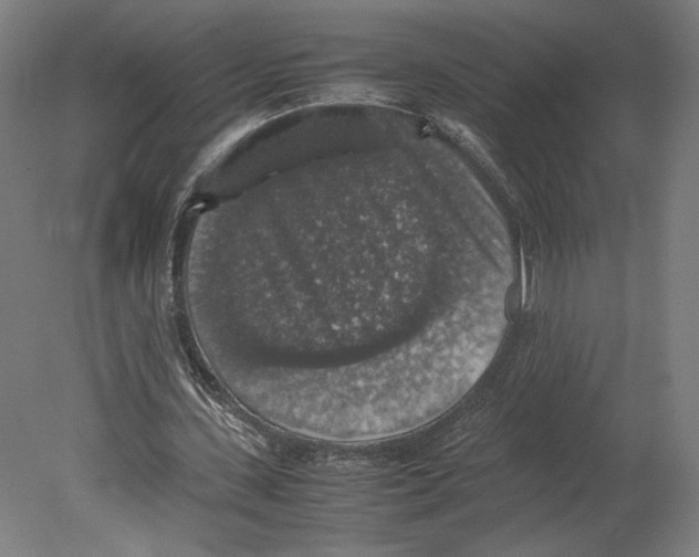 X0000080160531200701051608