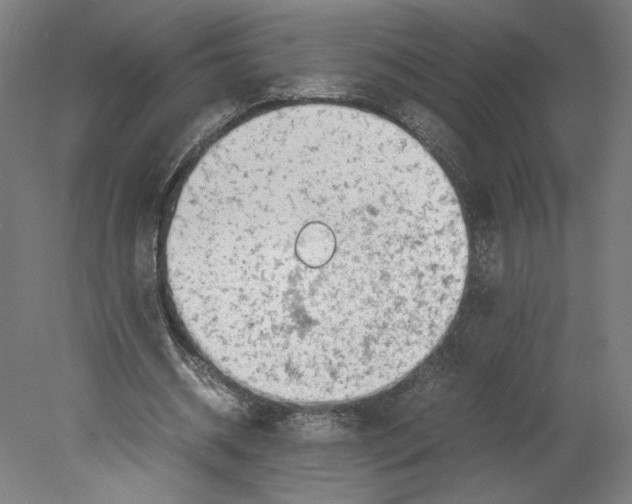 X0000080160534200701051608