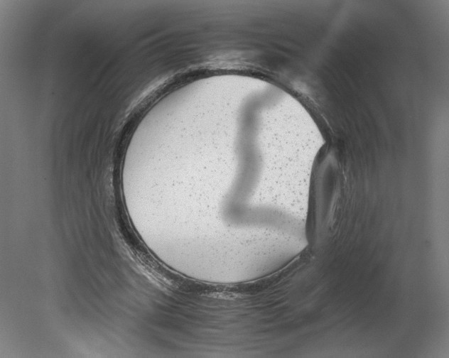 X0000080160535200701051608