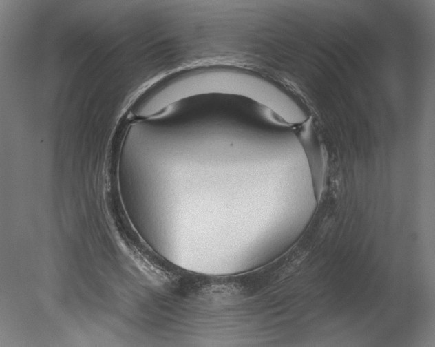 X0000080160536200701051608