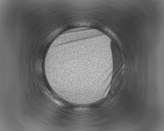 X0000080160537200701051608