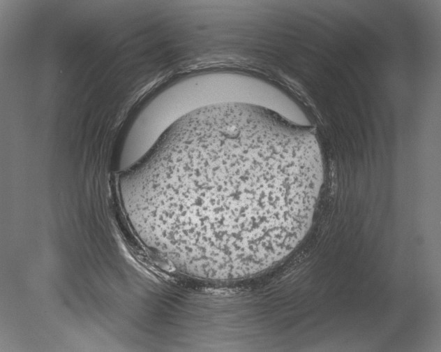 X0000080160538200701051608