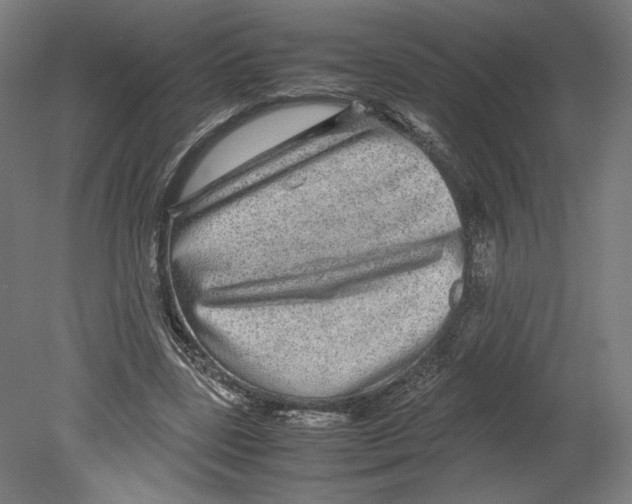 X0000080160539200701051608