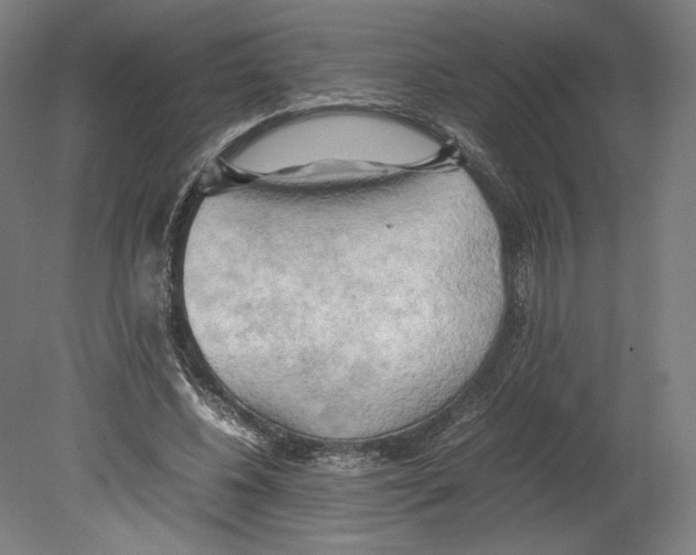 X0000080160540200701051608