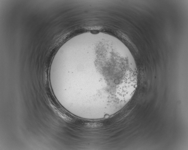 X0000080160541200701051608