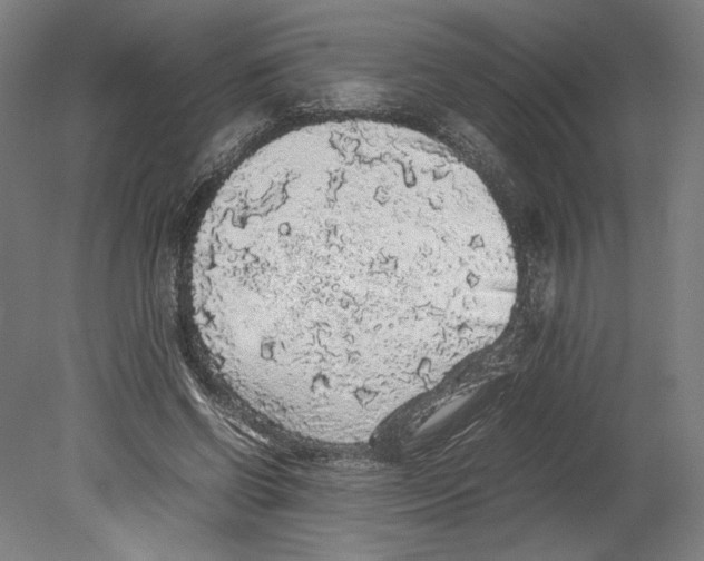 X0000080160542200701051608