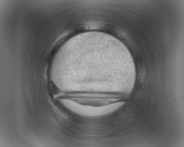 X0000080160543200701051608