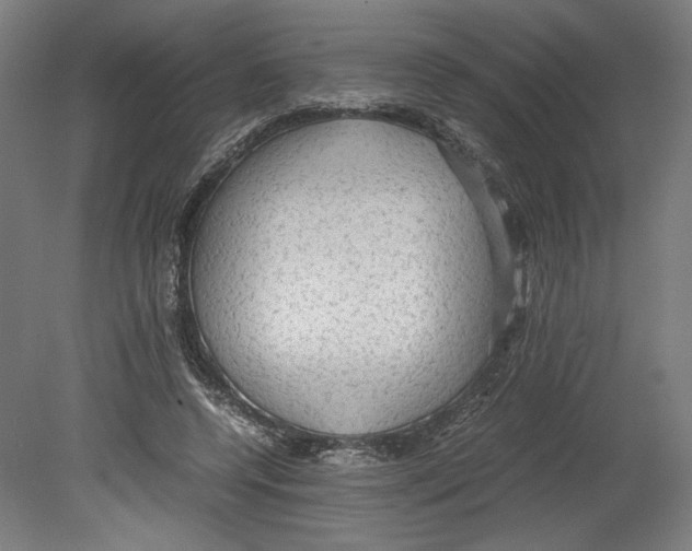 X0000080160544200701051608