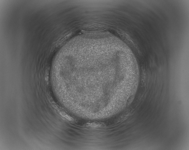 X0000080160545200701051608