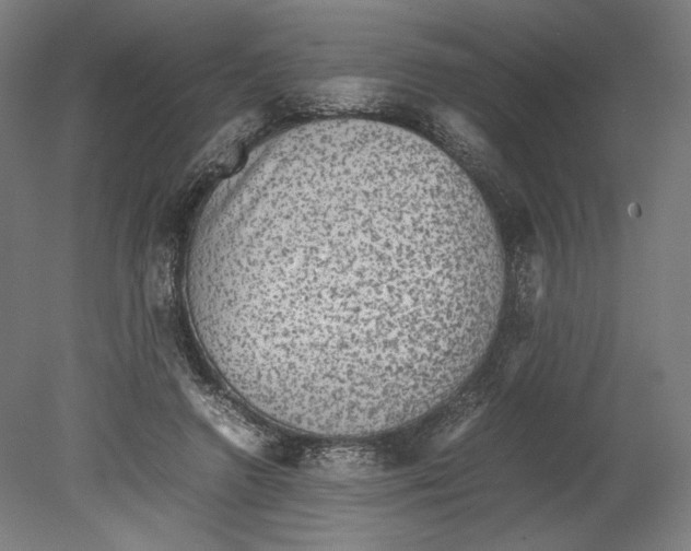 X0000080160546200701051608