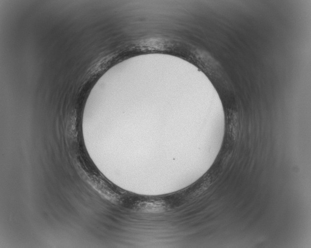 X0000080160548200701051608