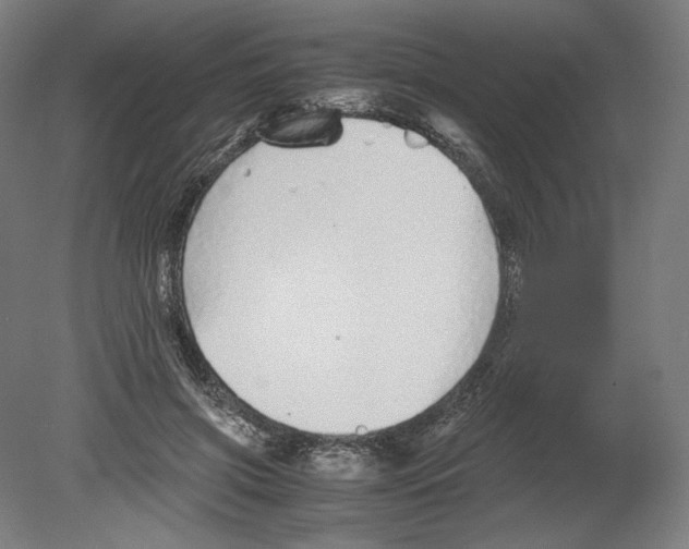 X0000080160549200701051608