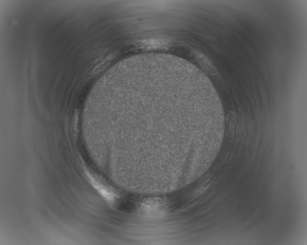 X0000080160550200701051608