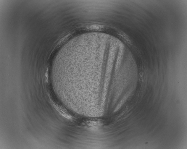 X0000080160552200701051608