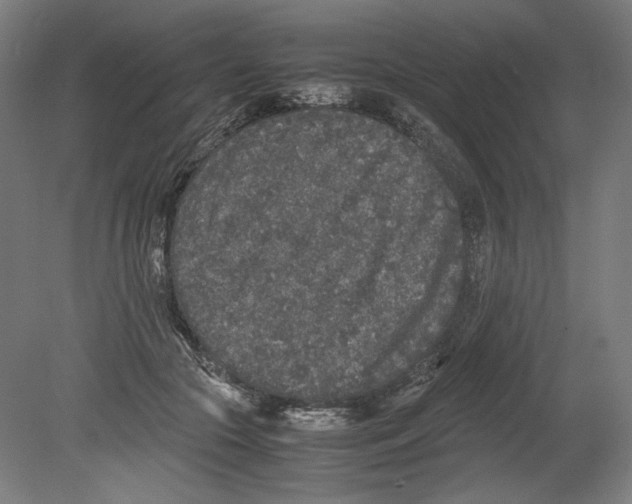 X0000080160553200701051608