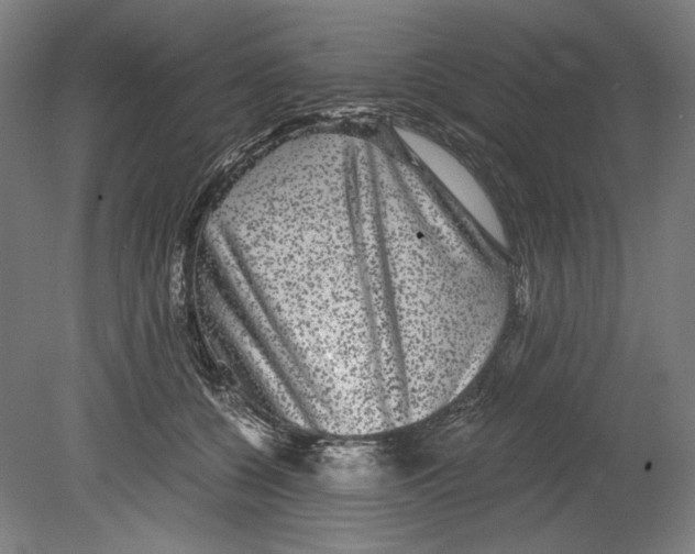 X0000080160560200701051608