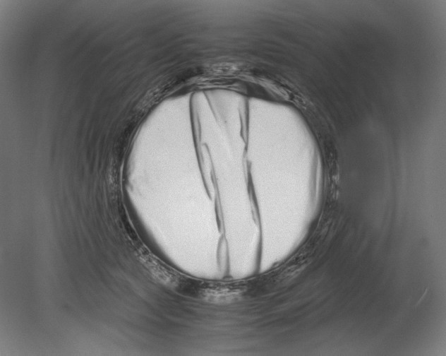 X0000080160561200701051608