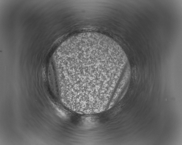 X0000080160564200701051608