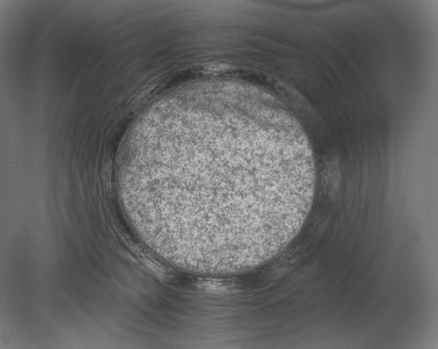 X0000080160565200701051608