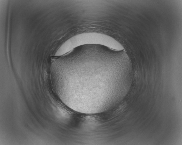 X0000080160566200701051608