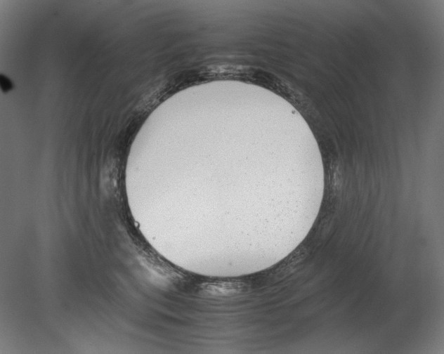 X0000080160567200701051608