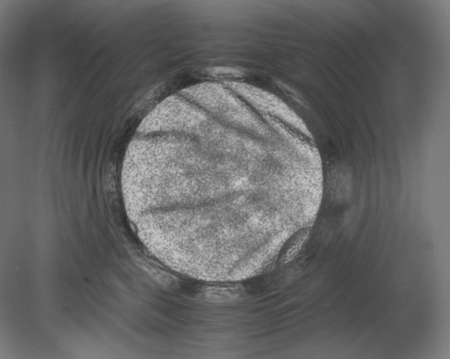 X0000080160571200701051608