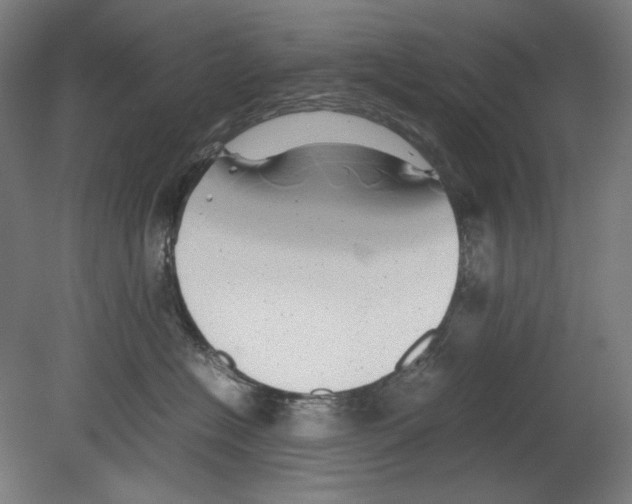 X0000080160574200701051608