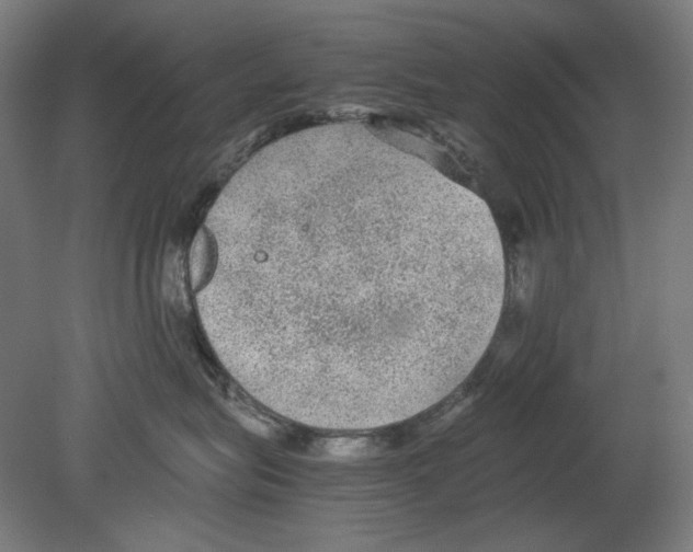 X0000080160575200701051608