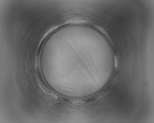 X0000080160579200701051607