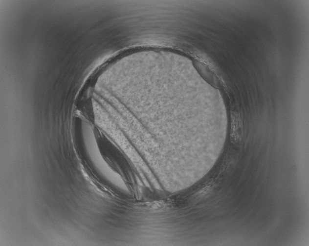 X0000080160580200701051607