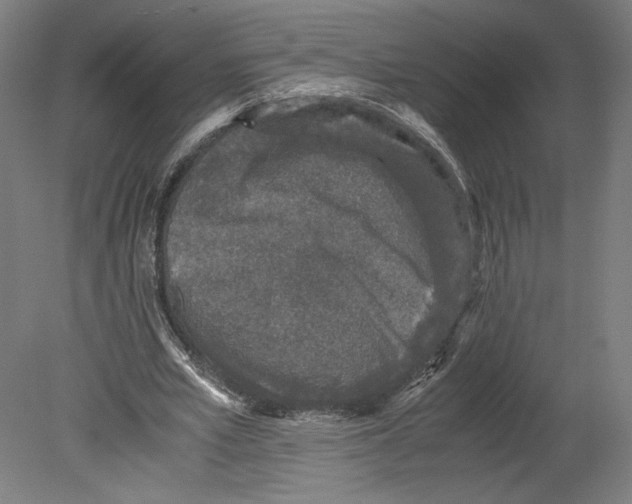 X0000080160581200701051607